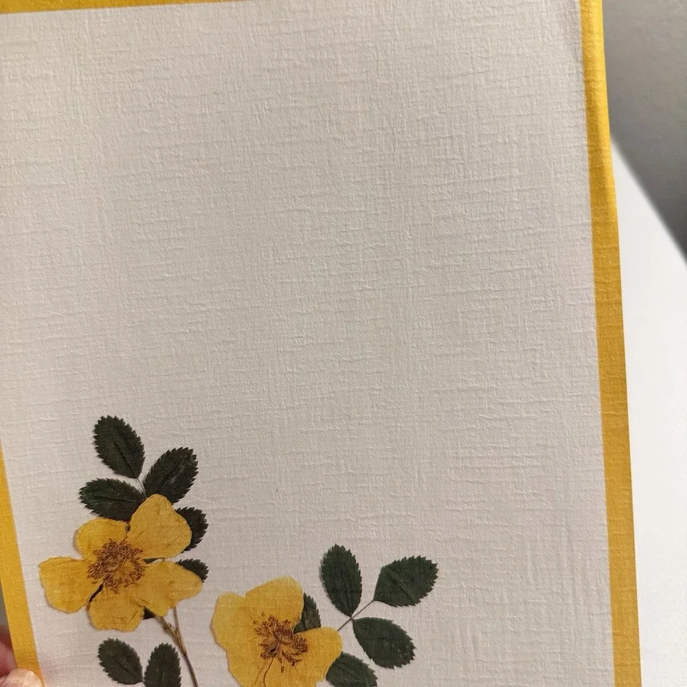 Vintage Current Flowerart Stationery Set Sheer Envelopes w/ Butterfly Floral '85